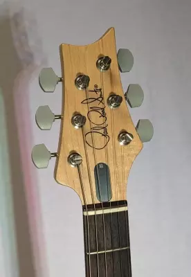 PRS - Silver Sky Moc Sand w/ Gigbag 3
